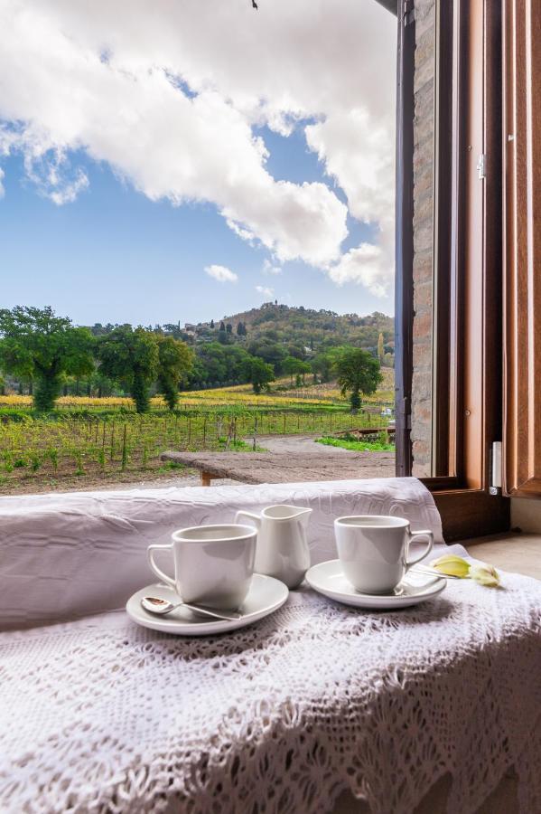 Wine Estate Rooms Paradiso Di Cacuci Montalcino Ngoại thất bức ảnh
